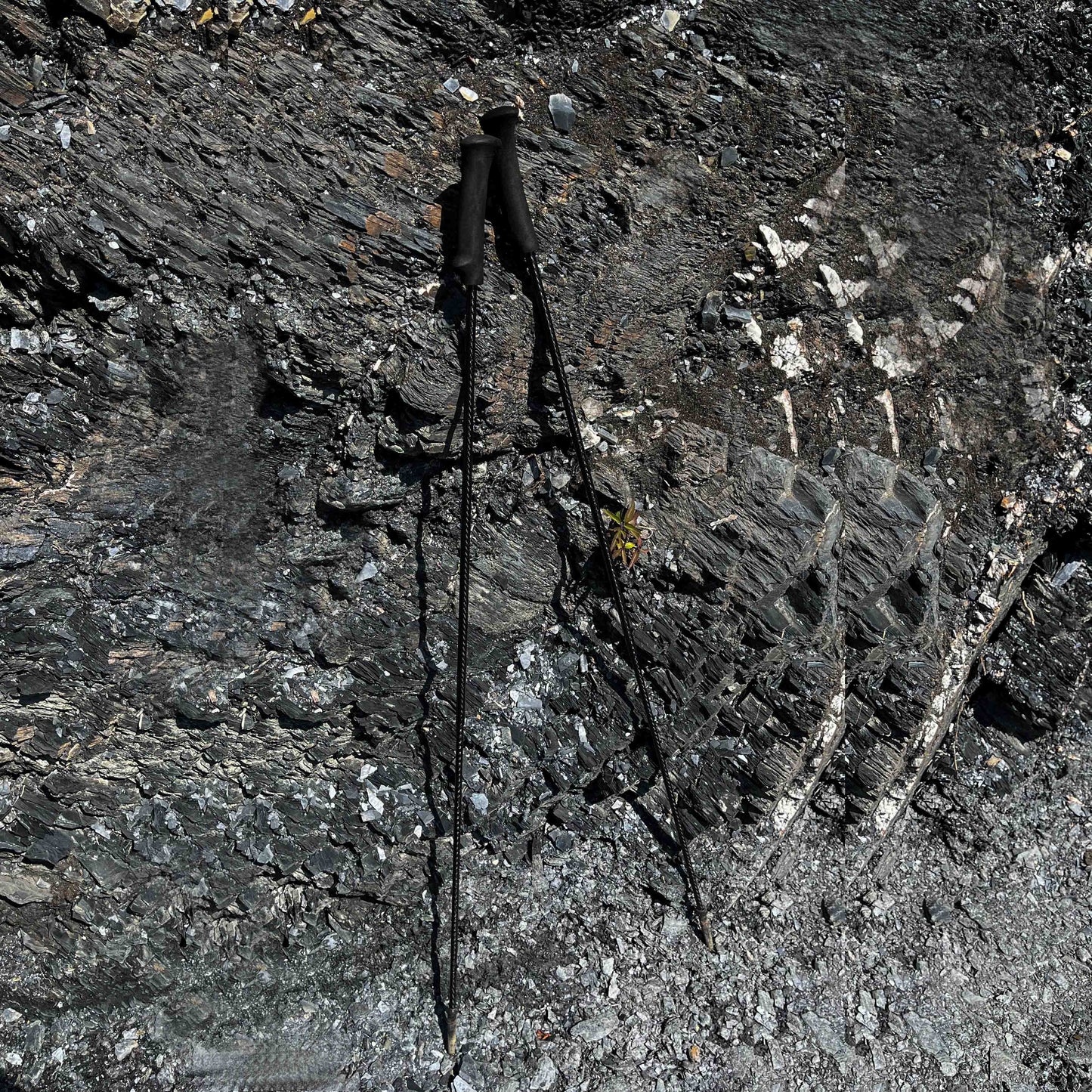 Ruta Locura 調整式 超輕量登山杖 Yana Poles Adjustable Trekking Poles