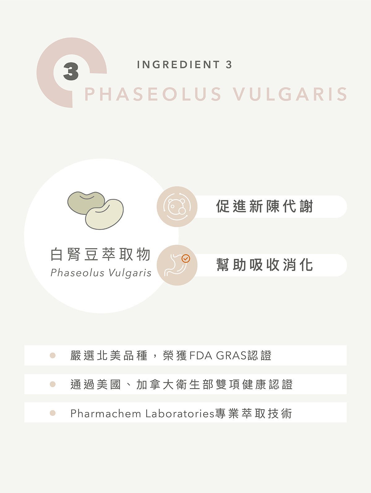 全素多效豌豆蛋白飲 綜合口味12入 - Lite Lite Gear