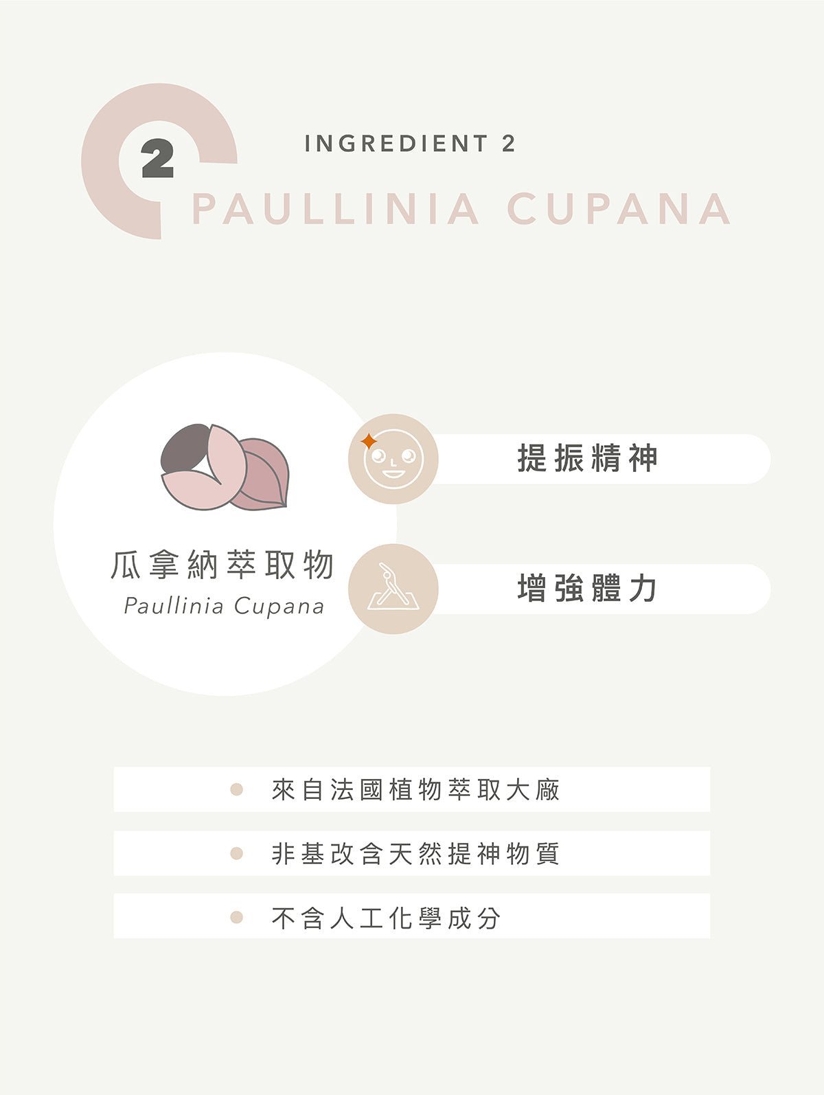 全素多效豌豆蛋白飲 綜合口味12入 - Lite Lite Gear