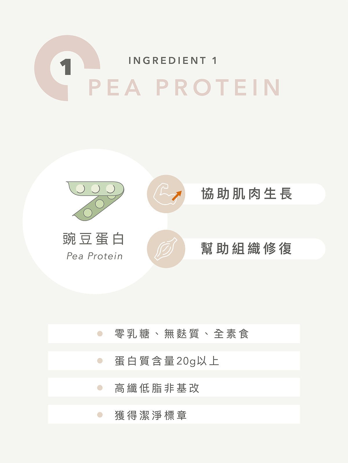 全素多效豌豆蛋白飲 綜合口味12入 - Lite Lite Gear