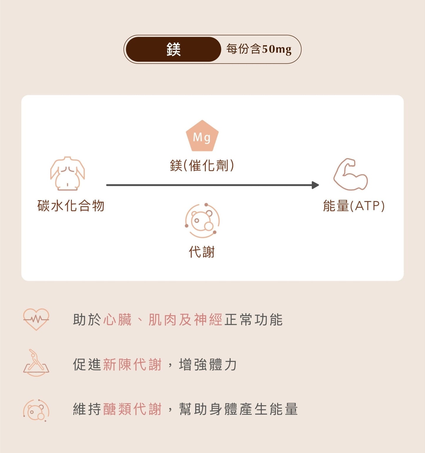 多效乳清蛋白飲 奶素 體驗包4入 - Lite Lite Gear