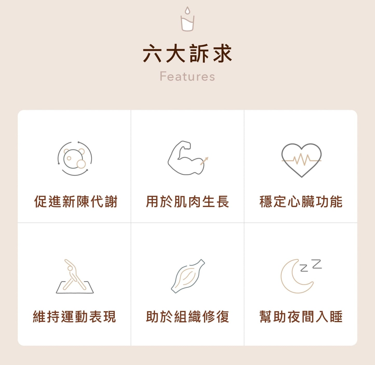 多效乳清蛋白飲 奶素 體驗包4入 - Lite Lite Gear