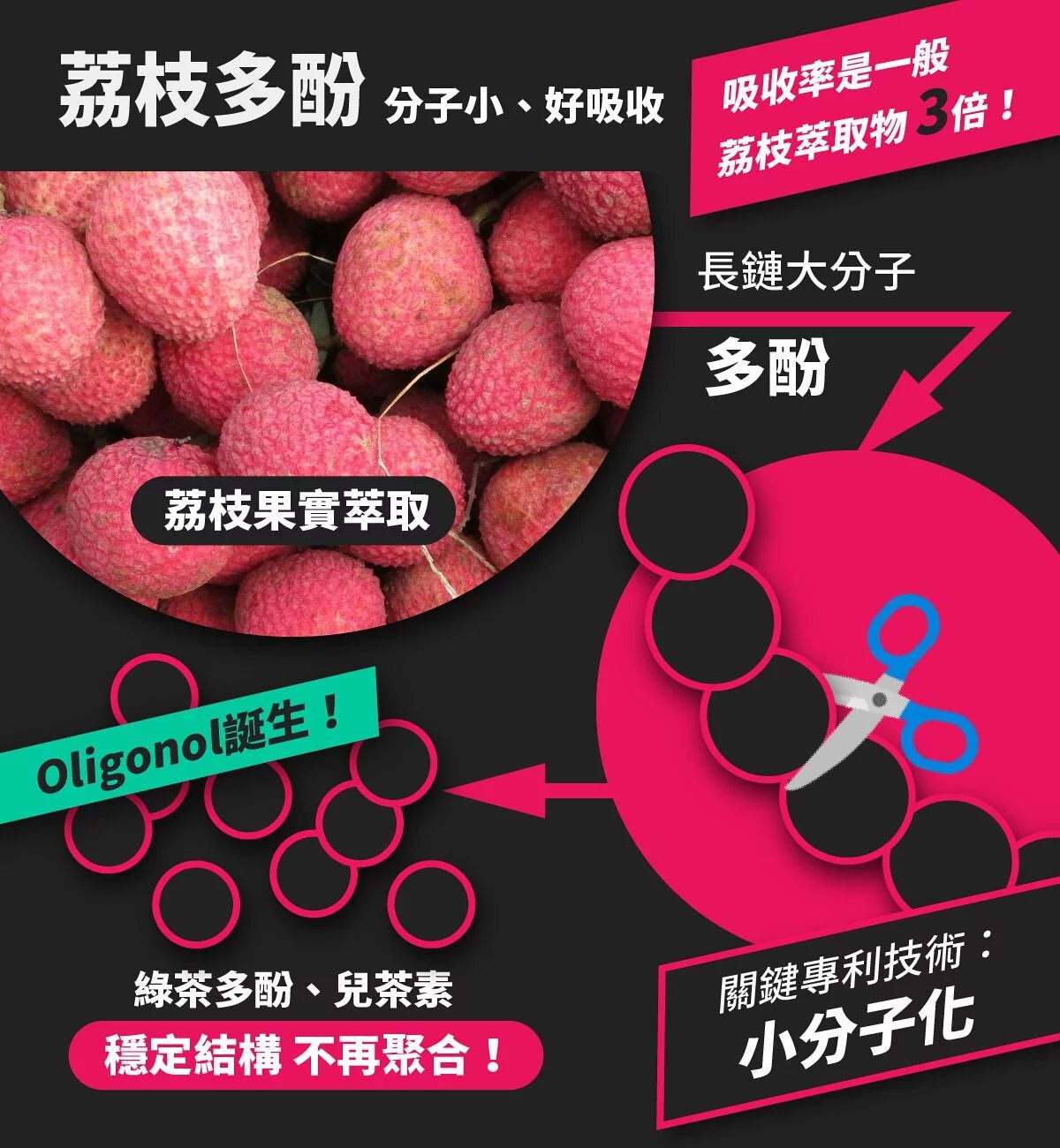 RC膠囊 Oligonol小分子 荔枝多酚 60粒入 - Lite Lite Gear