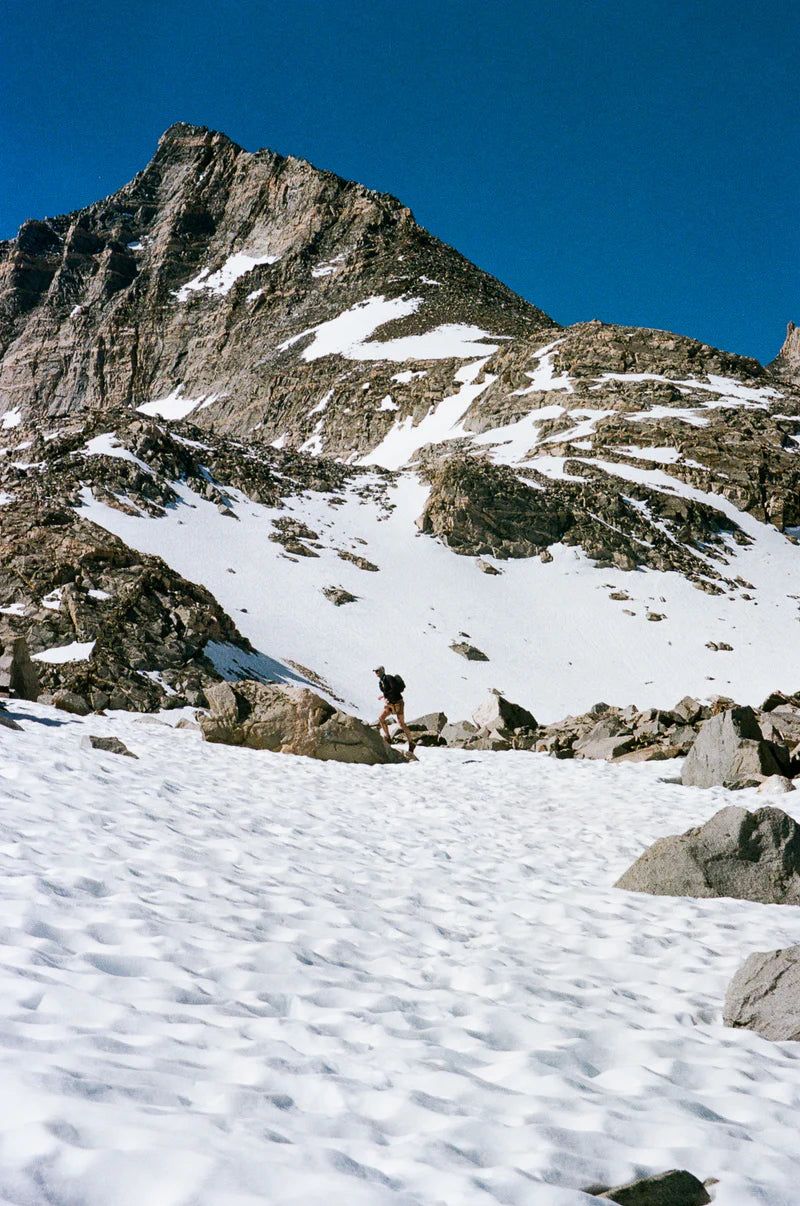 Hiking Shorts