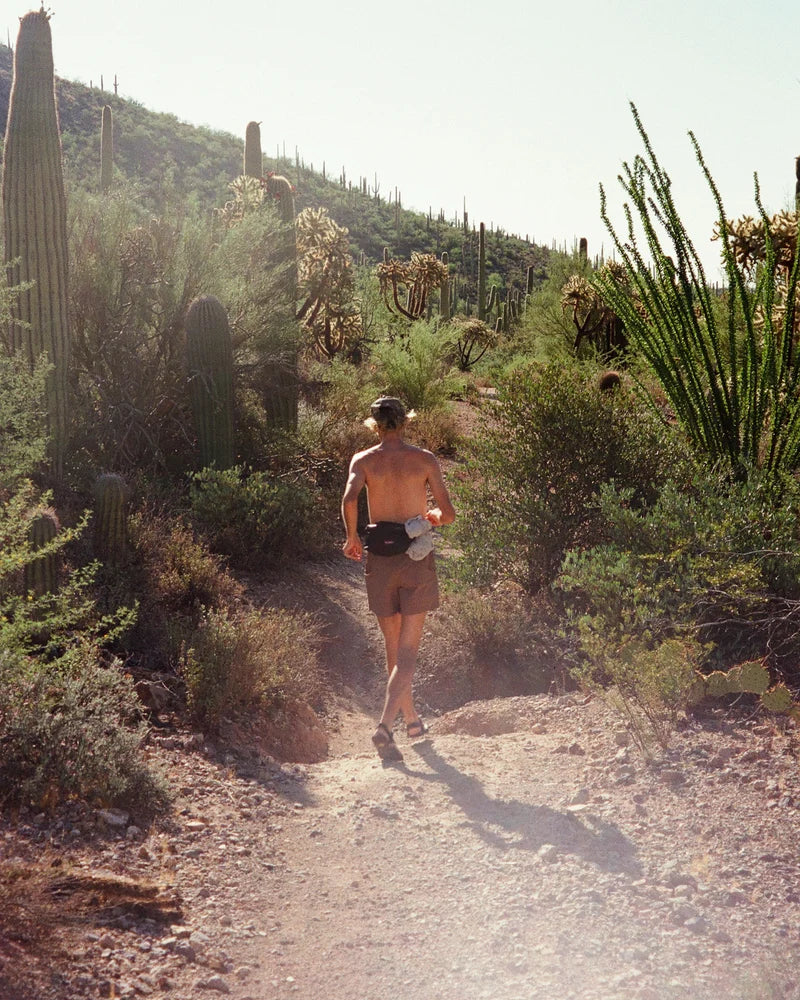 Hiking Shorts