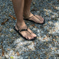 Bare Sandal 赤足涼鞋 人字款